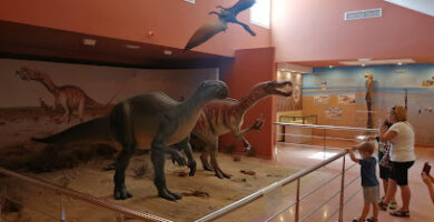 Centro Interpretación Paleontológica de La Rioja  Museo