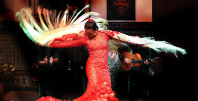 La Casa del Flamenco - Auditorio Alcántara