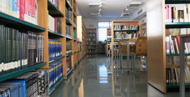 Biblioteca Pública Municipal de Cobisa