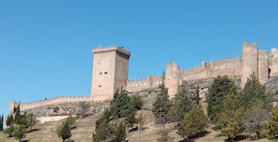 Castillo de Peñaranda de Duero  Castillo