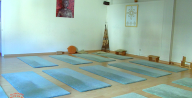 Centro de Yoga Oasis
