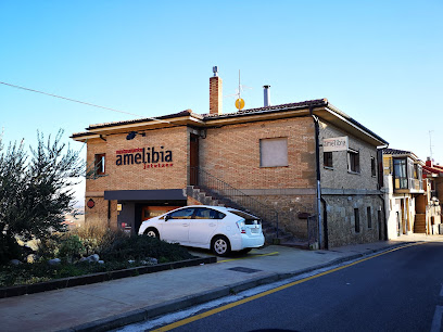 Restaurante Amelibia Jatetxea